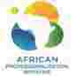 African Professionalisation Initiative (API) logo